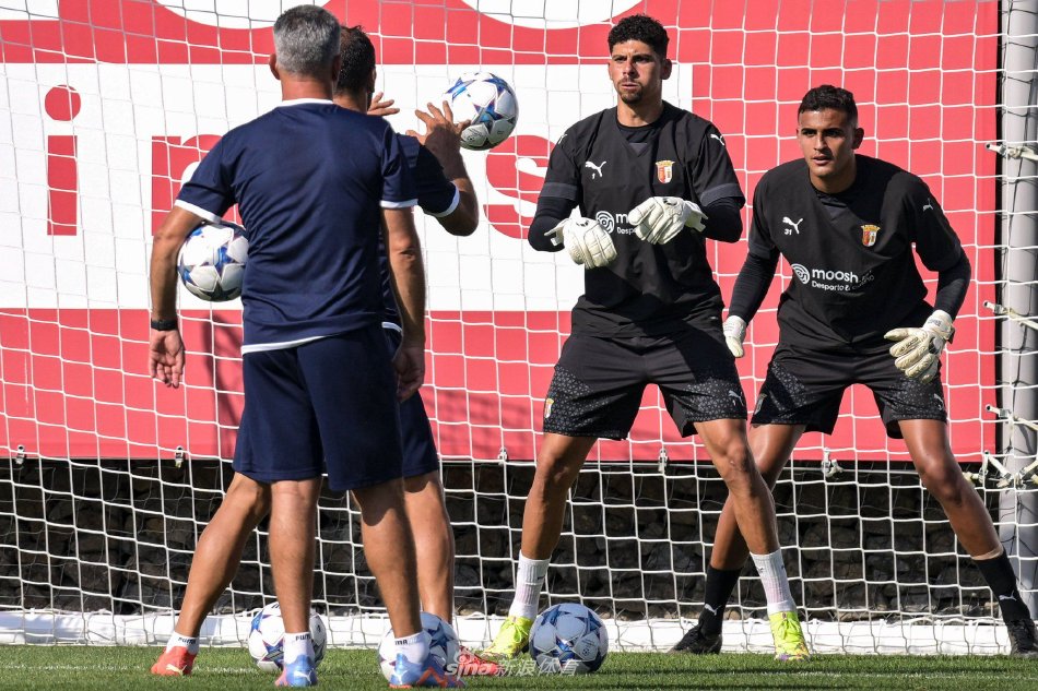 一篇完整的 一篇完整的